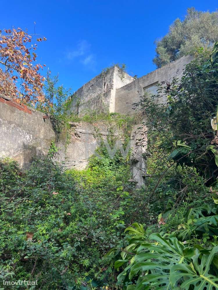 TERRENO URBANO SINTRA - 3.066,m2 C/RUÍNAS - Grande imagem: 3/13