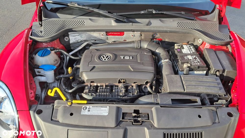 Volkswagen Beetle - 29