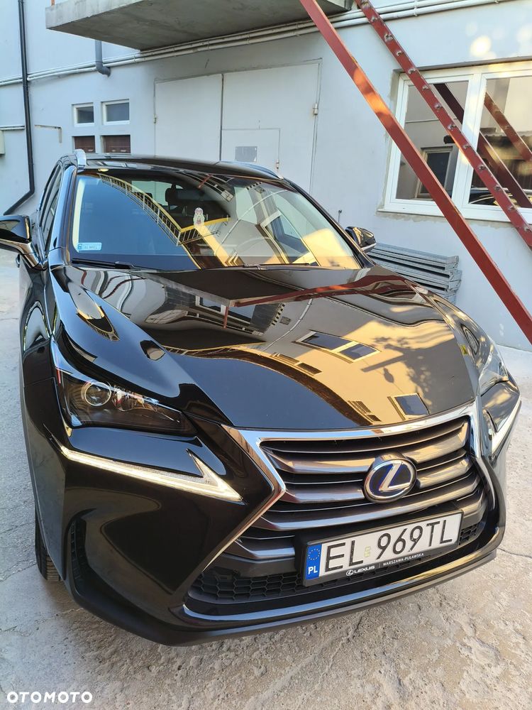 Lexus NX 300h Elite AWD - 21