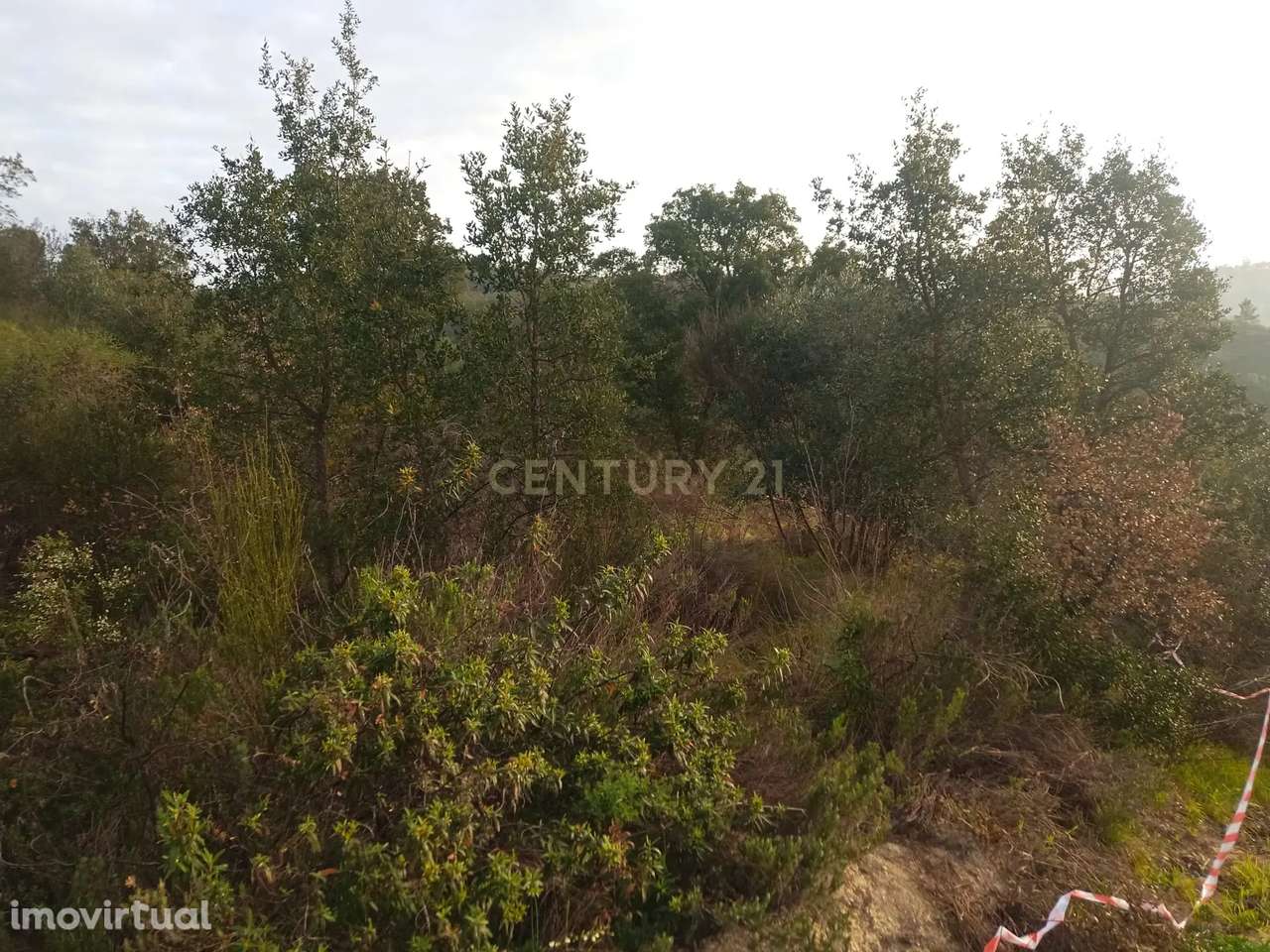 Terreno rustico em Palvarinho - Grande imagem: 5/6