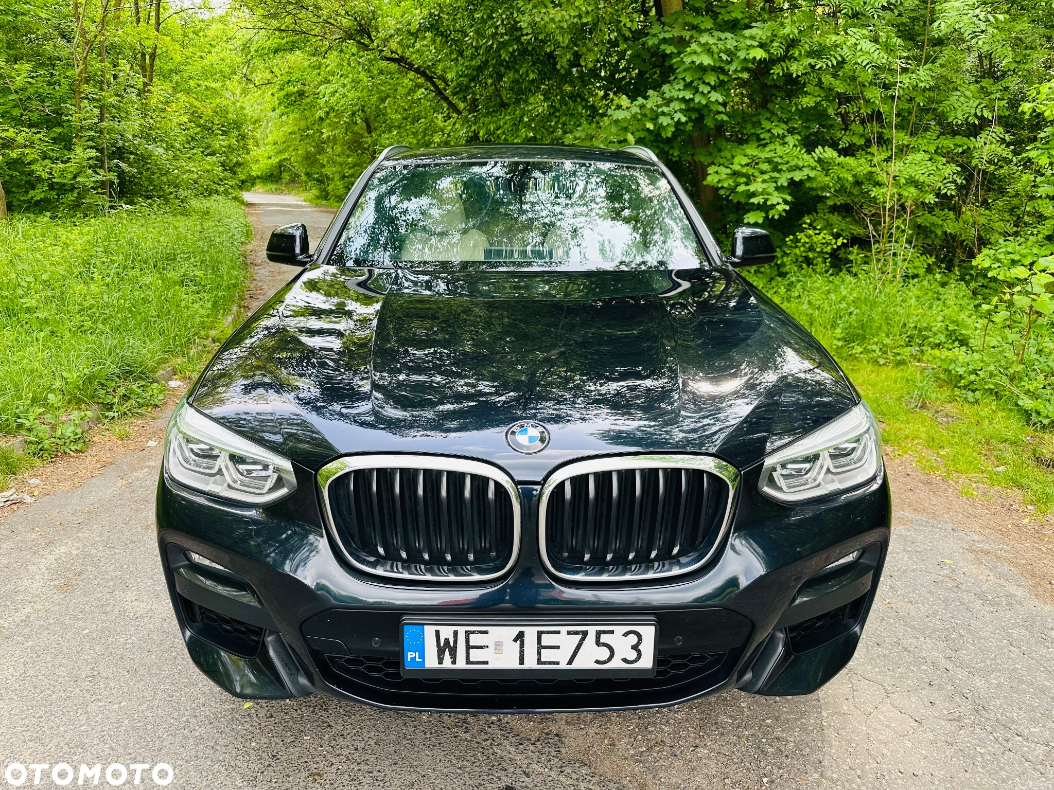 BMW X4 xDrive30i GPF M Sport X sport - 3