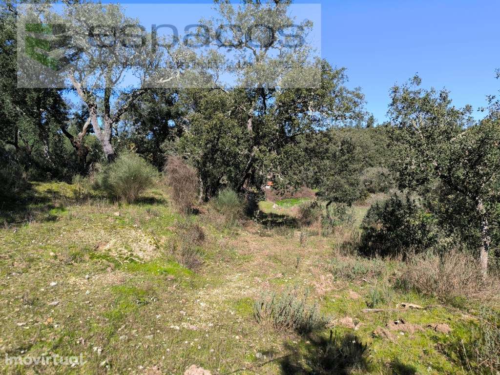 Terreno com casa em pedra e anexos - Palvarinho - Grande imagem: 5/20