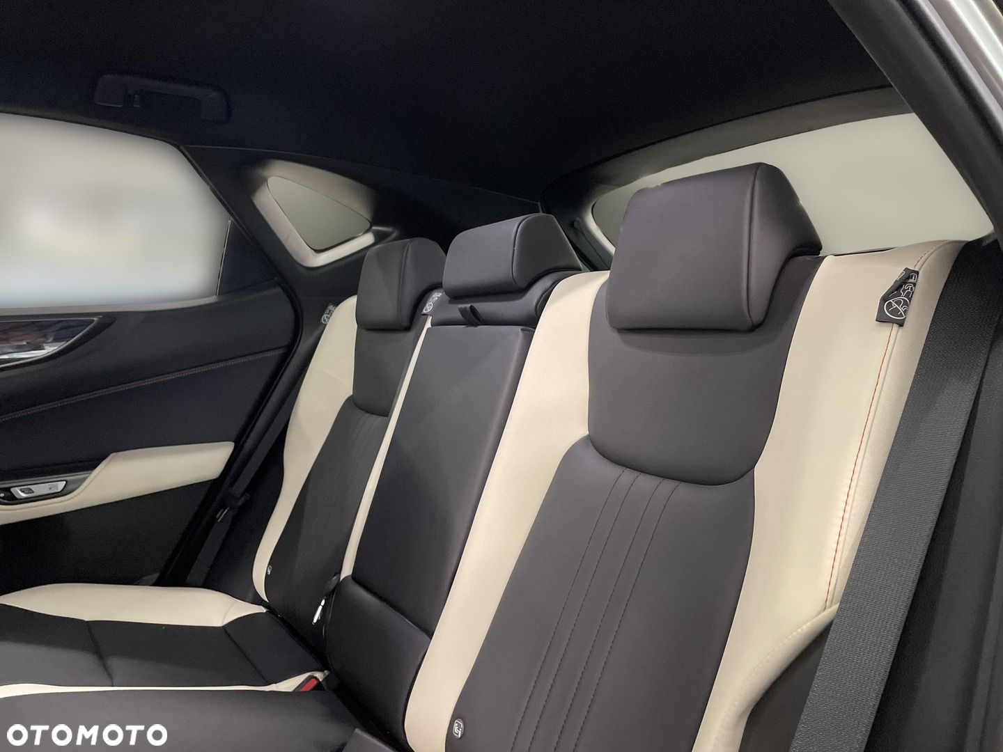 Lexus NX - 15