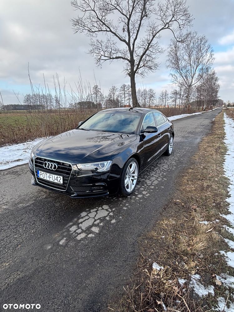 Audi A5 Sportback 2.0 TDI DPF multitronic - 10