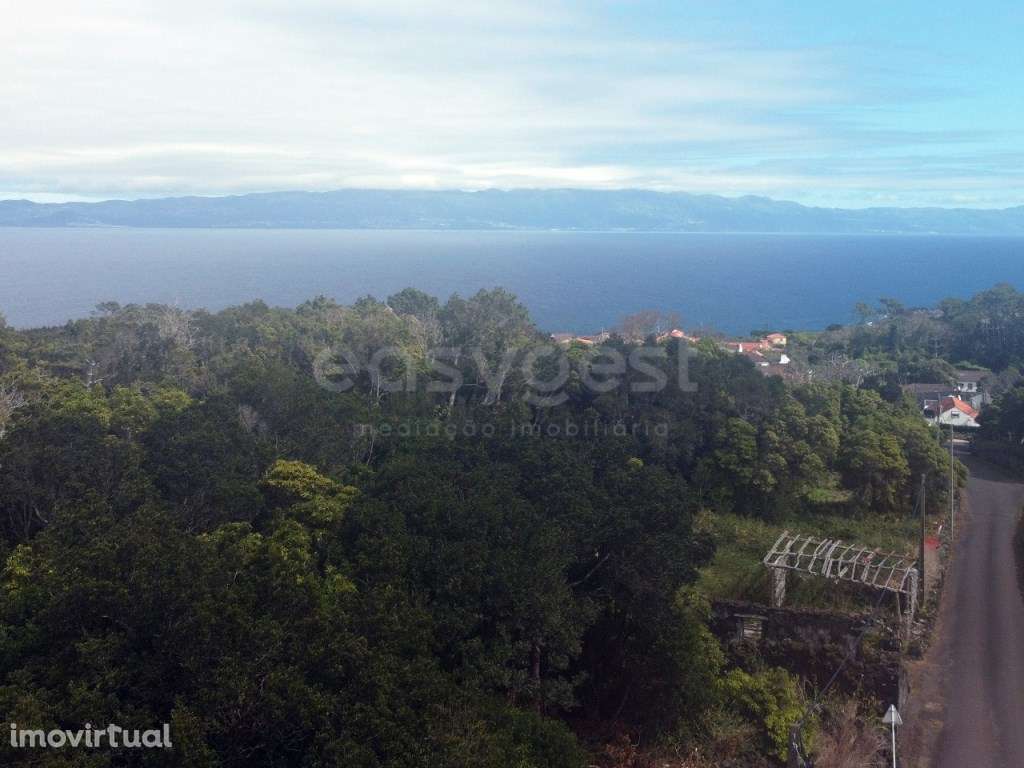 10.567 m² na Rua da Bragada, Santo António Projeto com Identidade n... - Grande imagem: 2/10