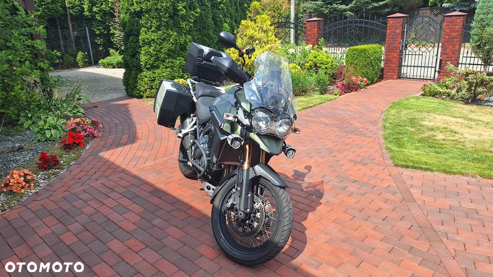 Triumph Tiger - 11
