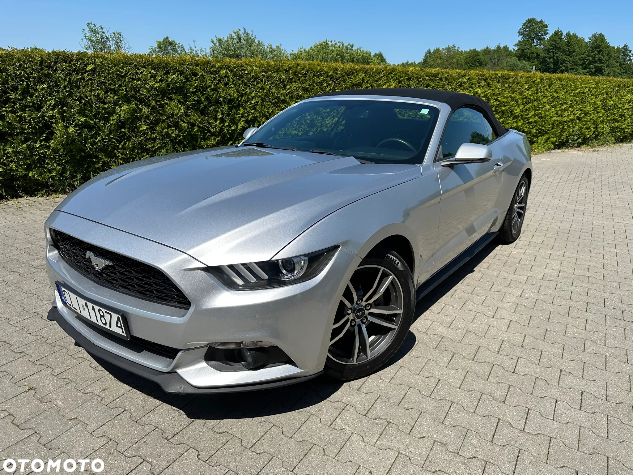 Ford Mustang Cabrio 2.3 Eco Boost - 24