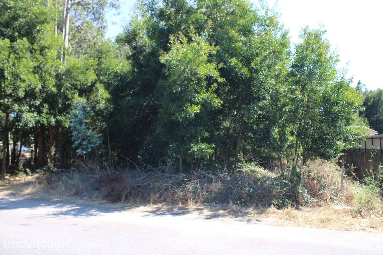 Terreno Urbanizável na Rua Areia do Gonde, Avanca – A Medida Certa par - Grande imagem: 3/5