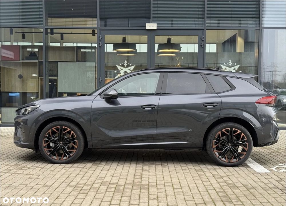 Cupra Terramar 2.0 TSI 4Drive Advantage Edition Copper DSG - 8