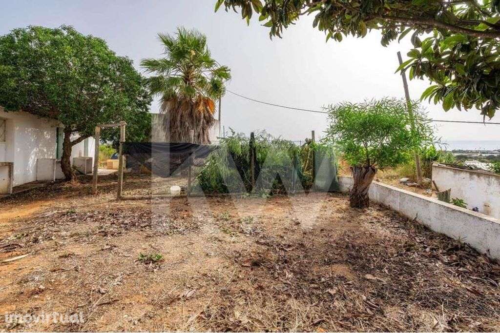 TERRENO AGRICOLA | |COM FURO DÁGUA | POTENCIAL PARA ALOJAMENTO AGRICOL - Grande imagem: 4/21