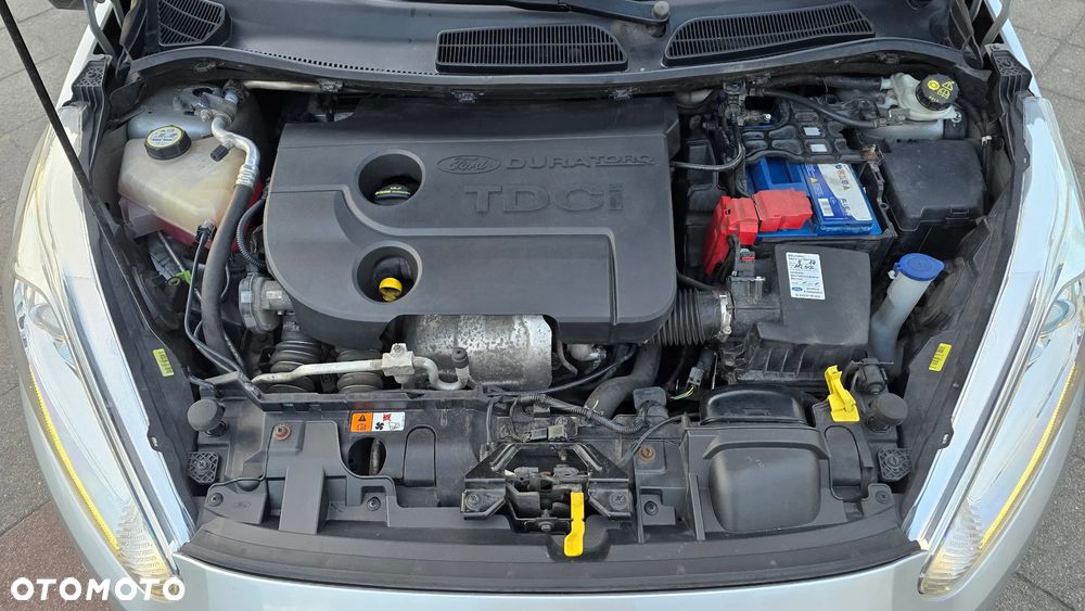 Ford Fiesta - 26