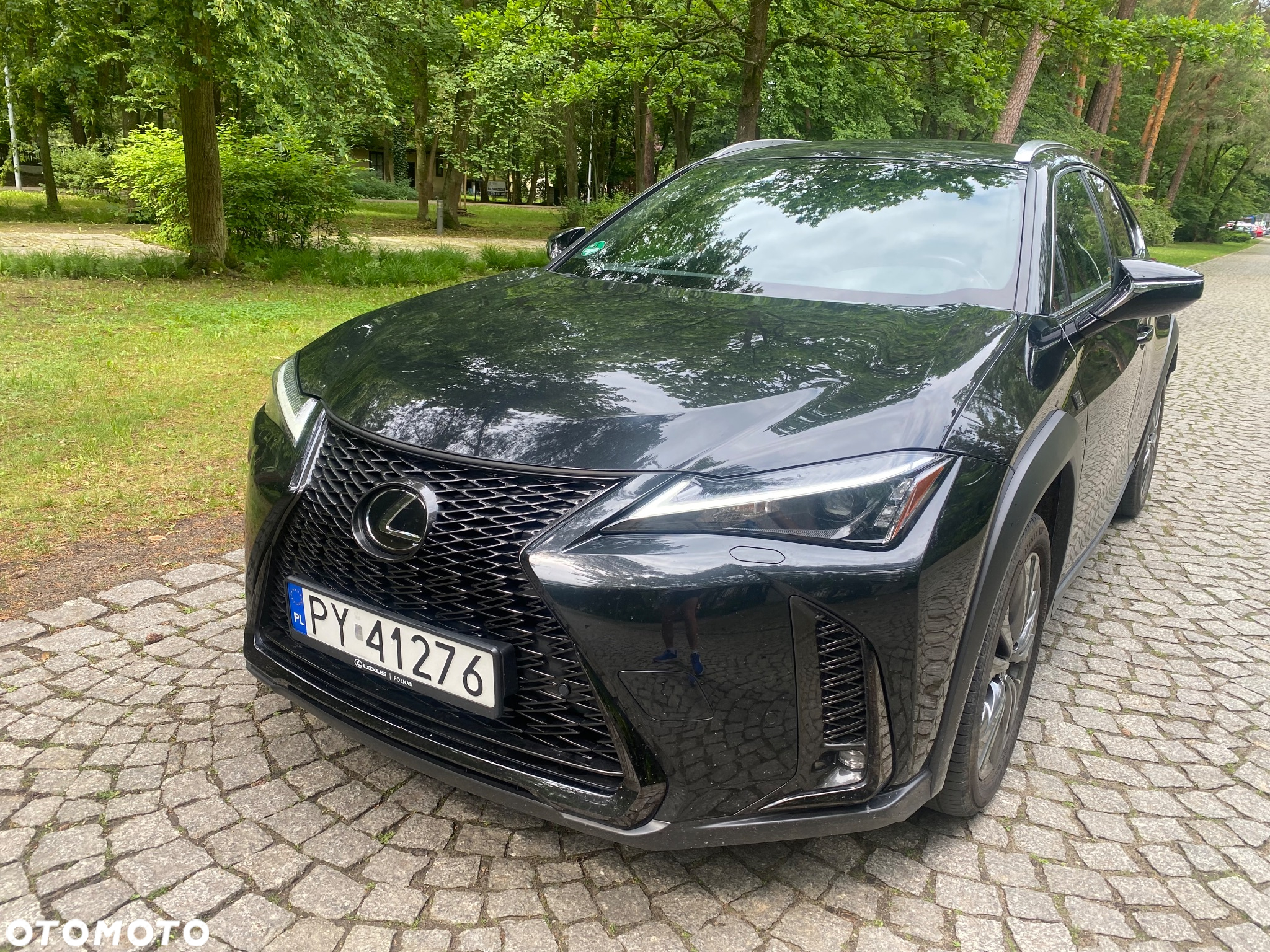 Lexus UX 250h GPF F Sport Design 2WD - 2