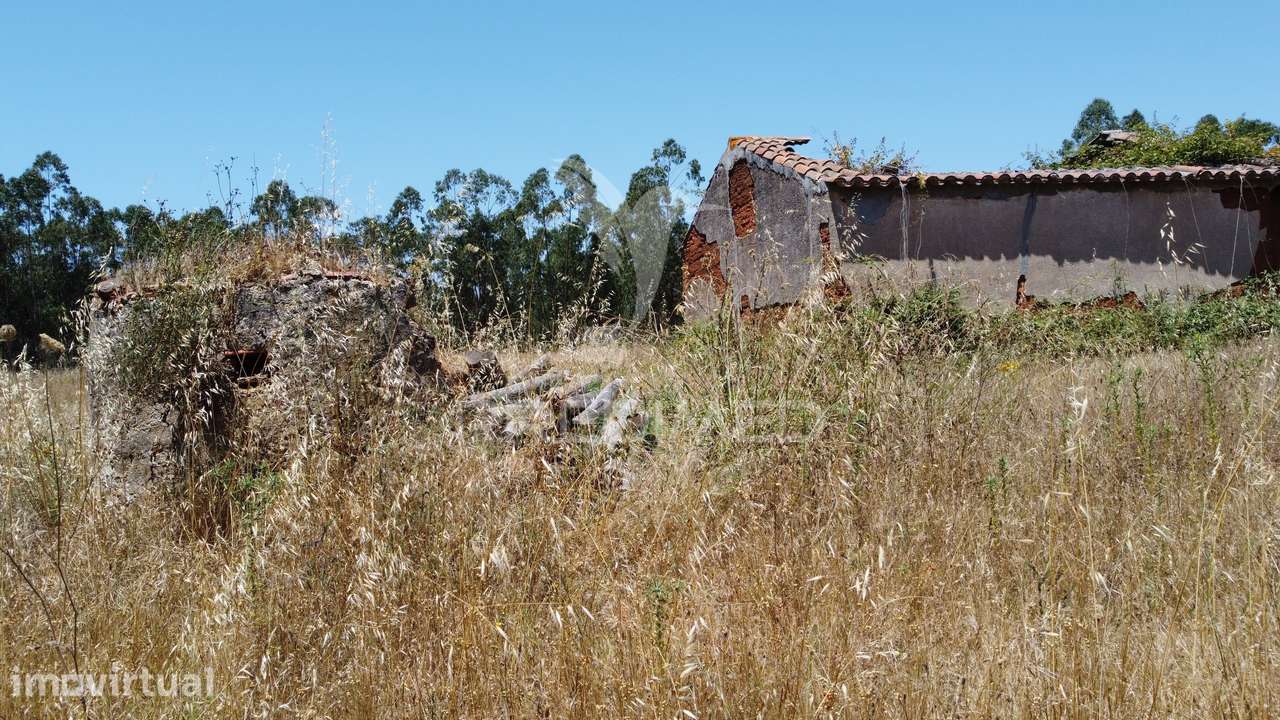 Herdade 53 Hectares Projeto Aprovado 10 Minutos da Costa Vicentina - Grande imagem: 4/24