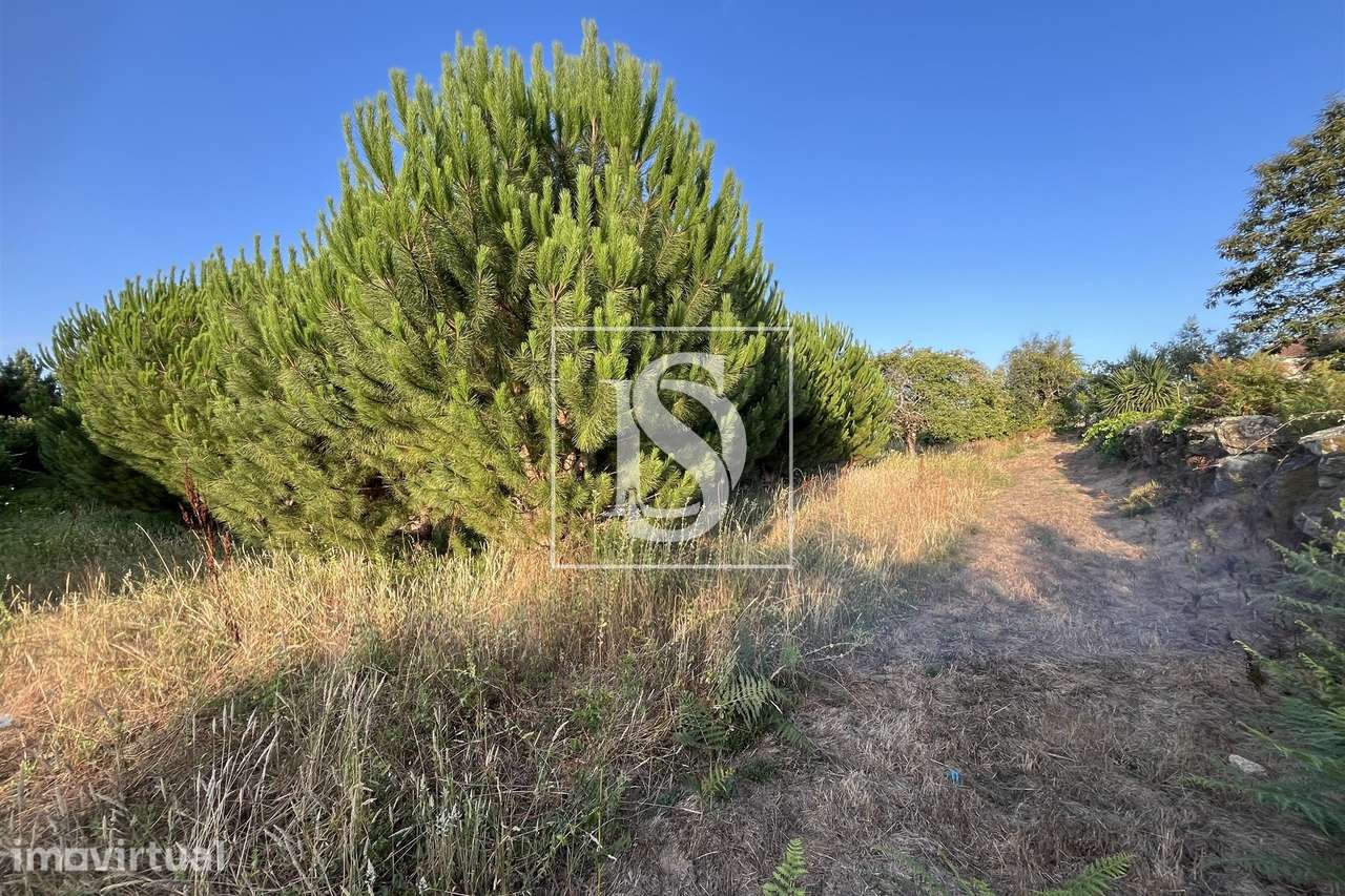 Terreno  Venda em Canas de Santa Maria,Tondela - Grande imagem: 4/7