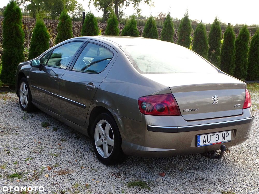 Peugeot 407 - 3