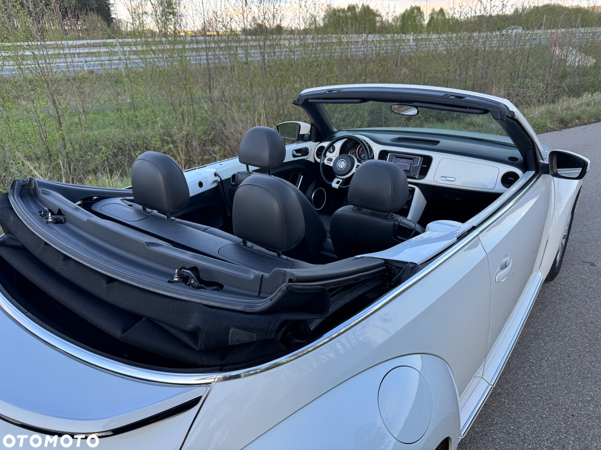 Volkswagen Beetle - 19