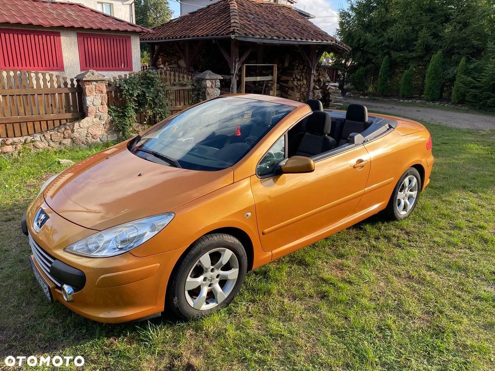 Peugeot 307 - 13