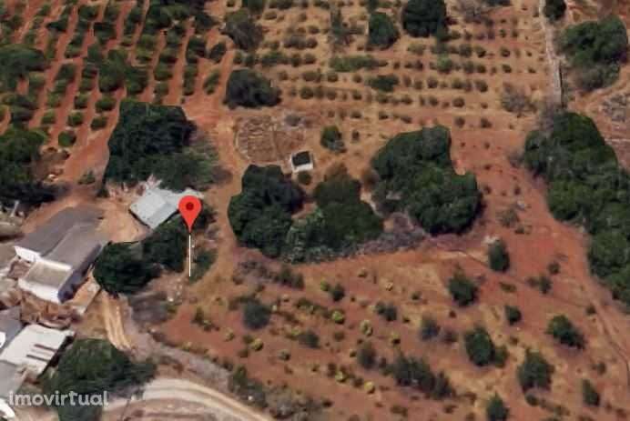 Quintinha com casa em ruínas para reconstrução – Quelfes, Olhão - Grande imagem: 3/11