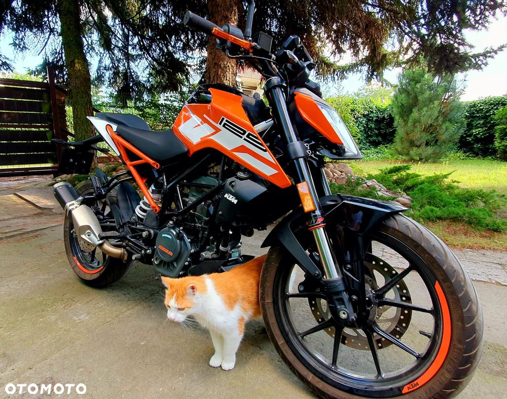 KTM Duke 125 - 1