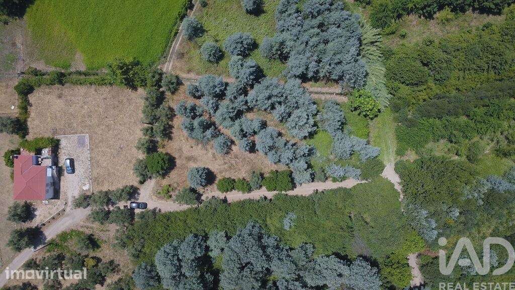 Casa de Campo em Serpins de 49 m2 - Grande imagem: 3/17