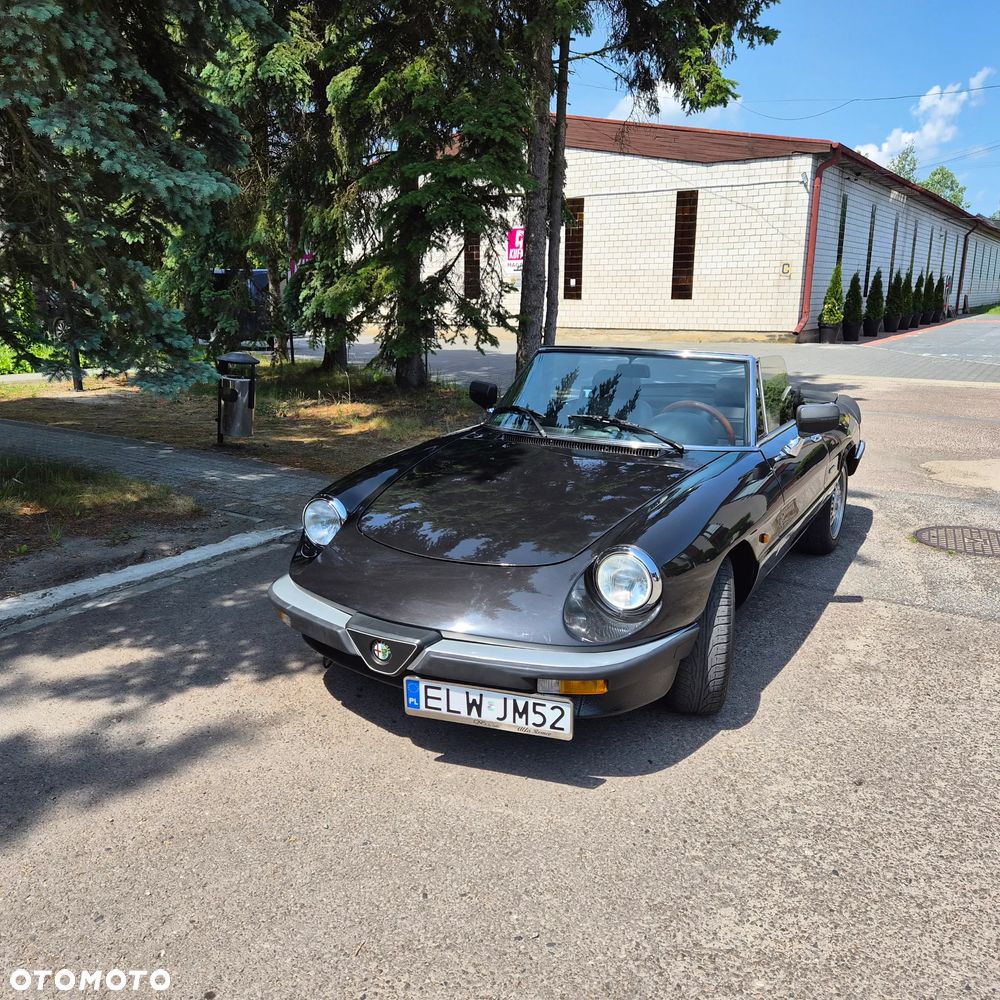 Alfa Romeo Spider - 27