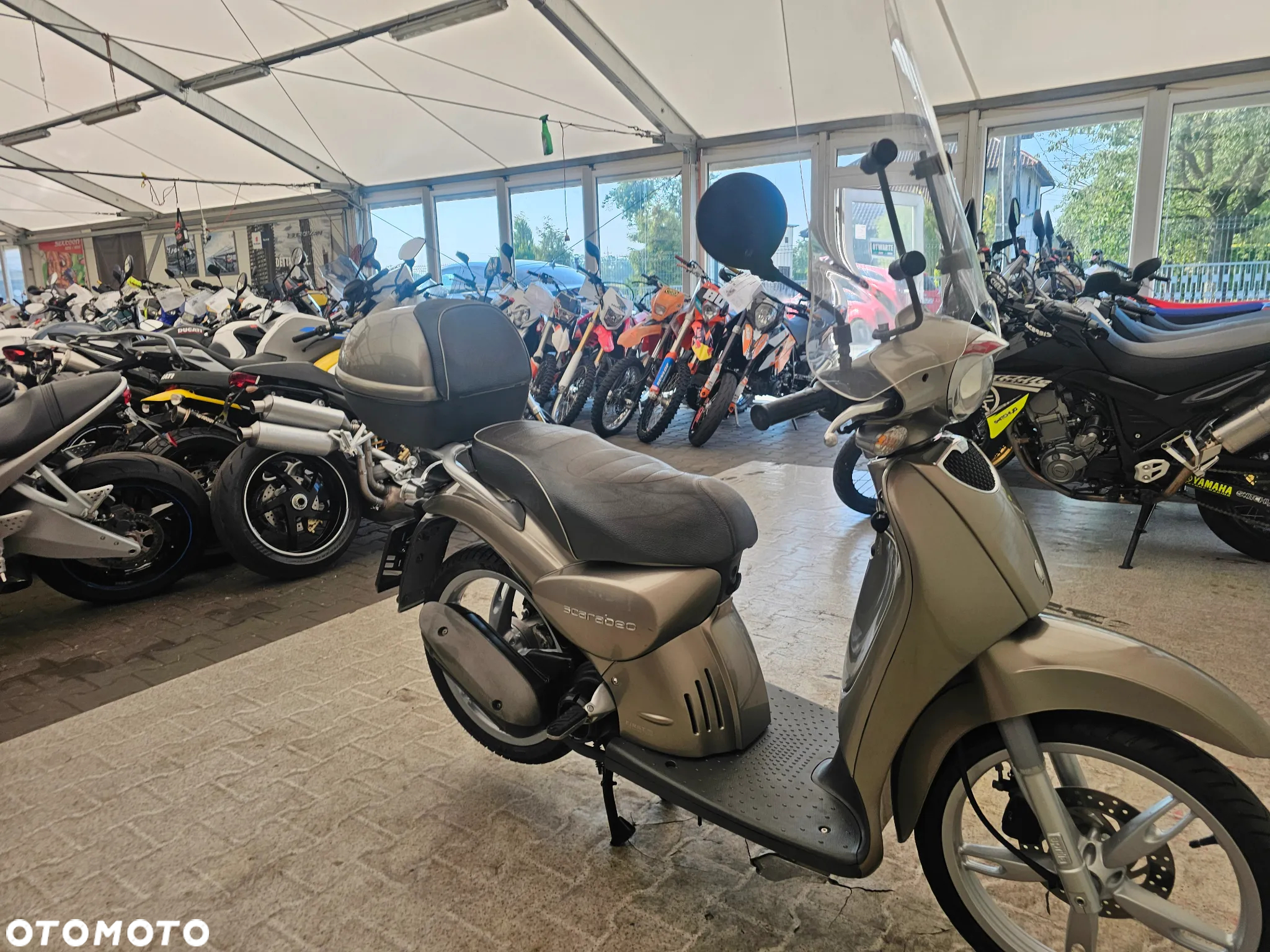 Aprilia Scarabeo - 31