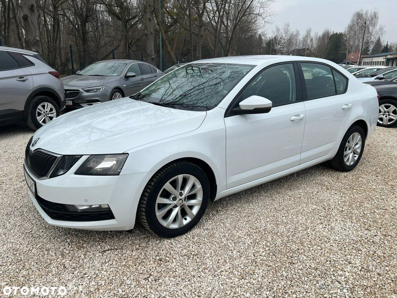 Skoda Octavia 1.6 TDI Ambition DSG - 1