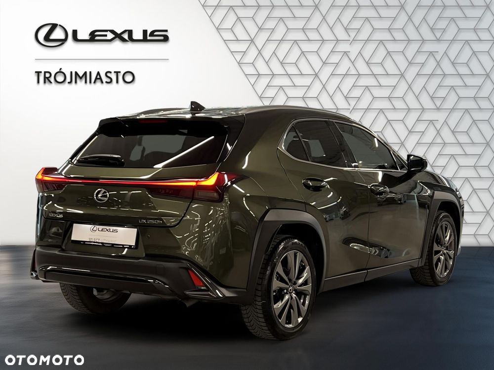 Lexus UX 250h GPF F Sport Design 2WD - 5