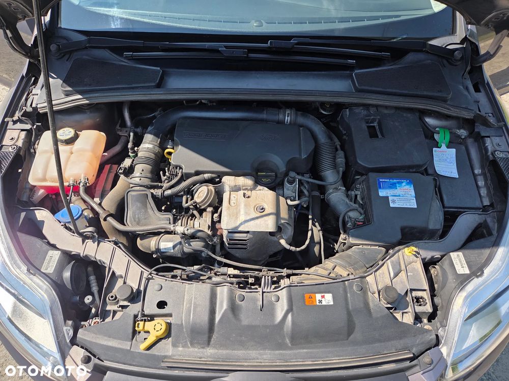 Ford Focus - 19