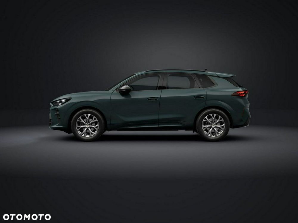 Cupra Terramar - 2