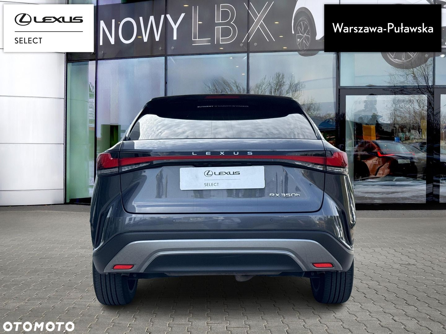 Lexus RX - 8