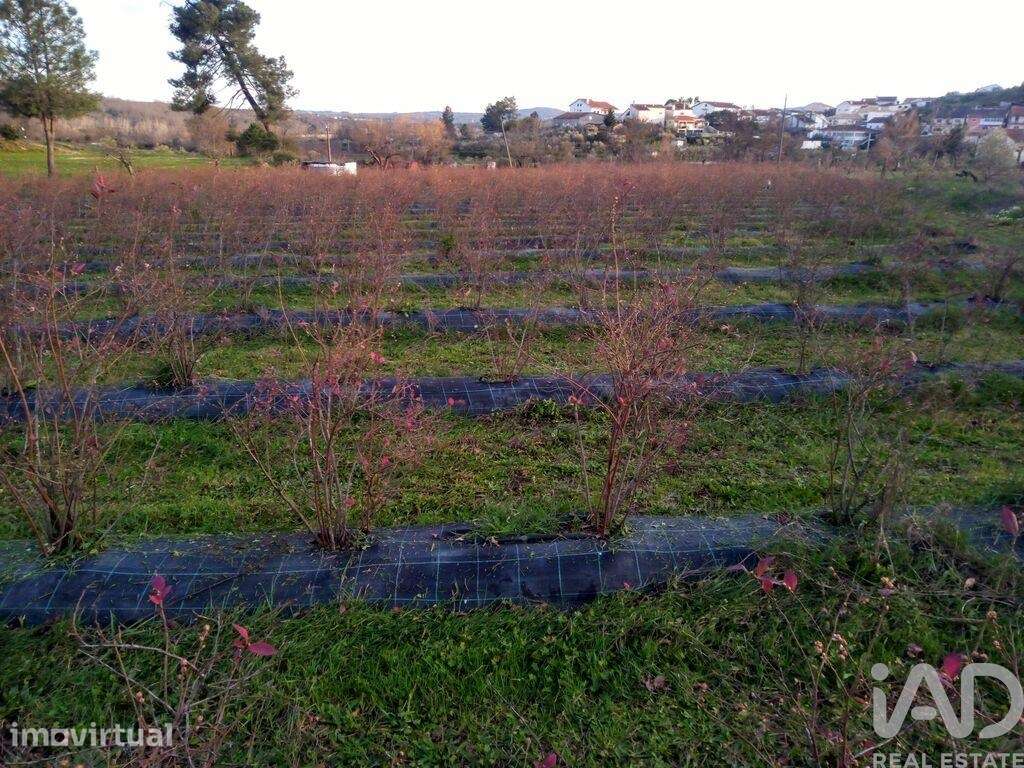 Terreno Agrícola em Orjais de 13681,00 m2 - Grande imagem: 5/28
