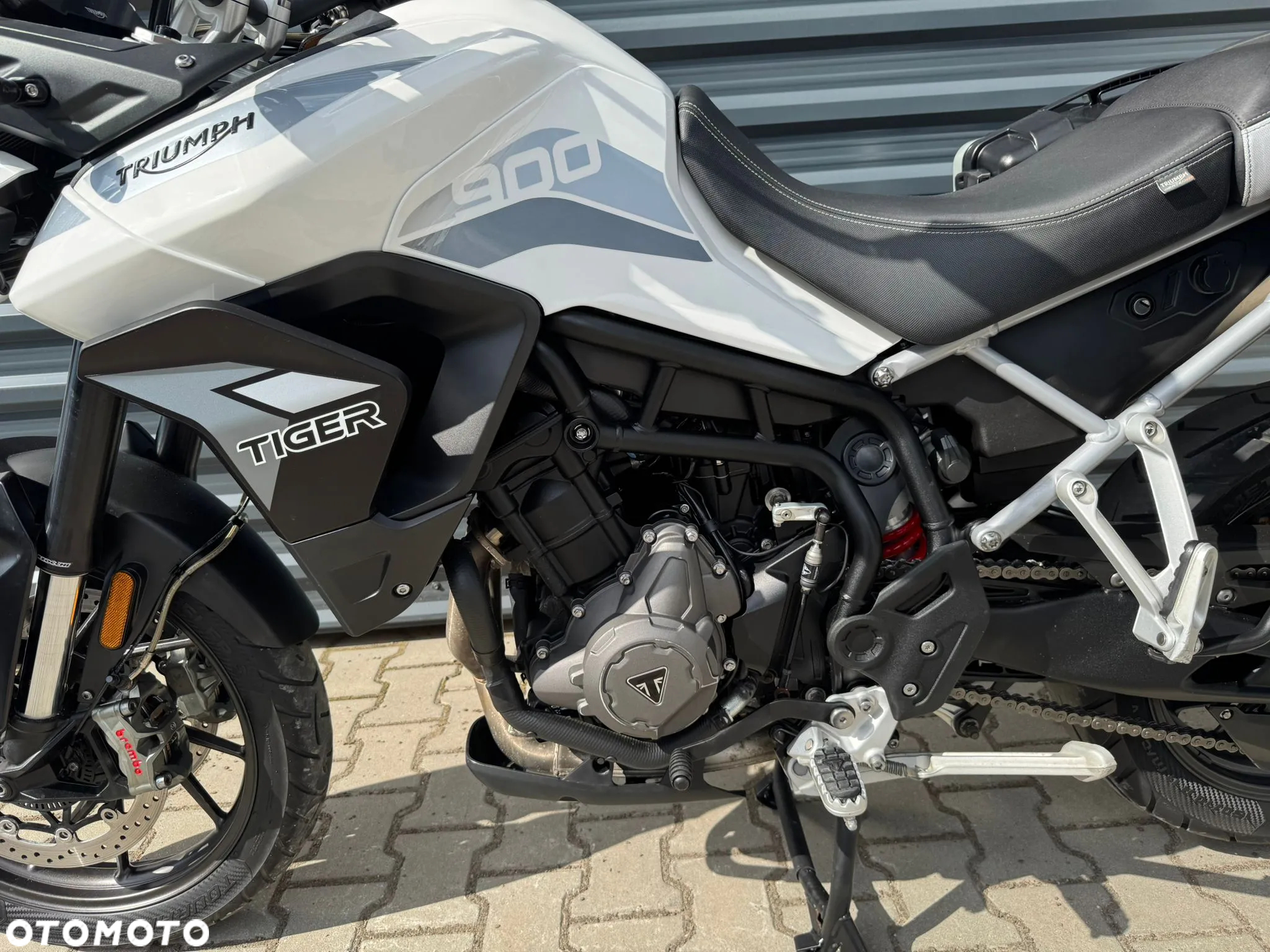Triumph Tiger - 15