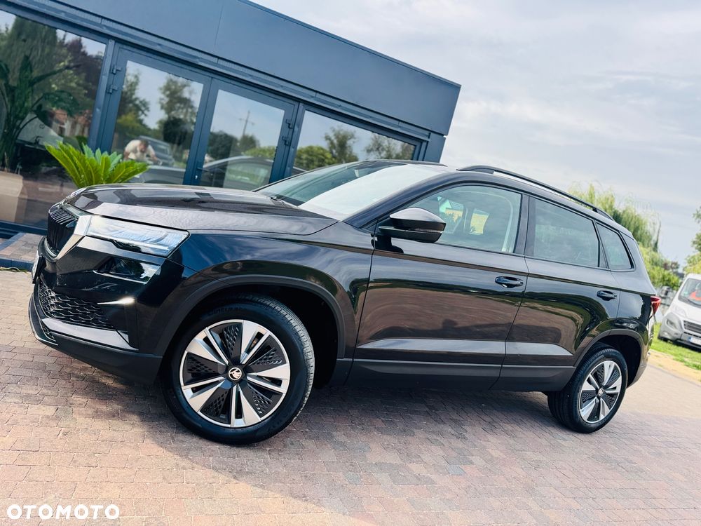 Skoda Karoq 2.0 TDI DSG Drive - 24