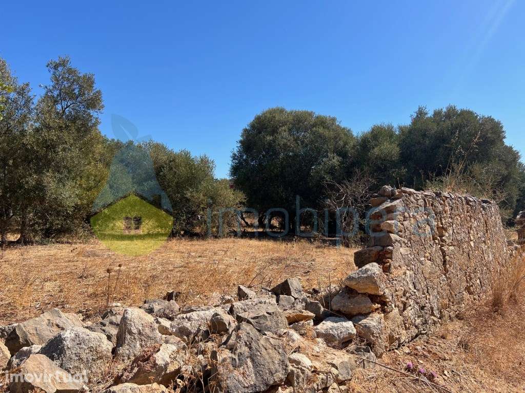 TERRENO MISTO COM RUÍNA E POÇO JUNTO À RIBEIRA DE PADERNE - Grande imagem: 2/26