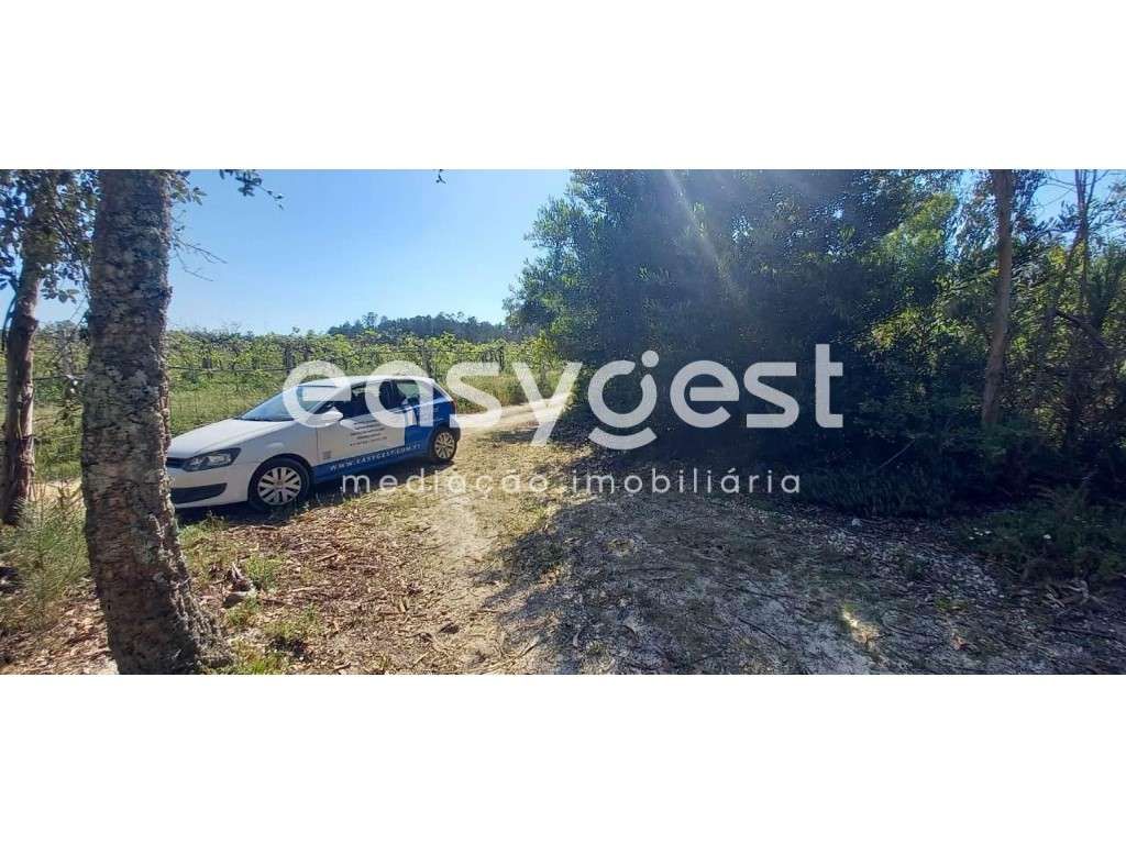 Terreno Rústico - em Cantanhede - perto da Zona Industrial - Grande imagem: 5/11