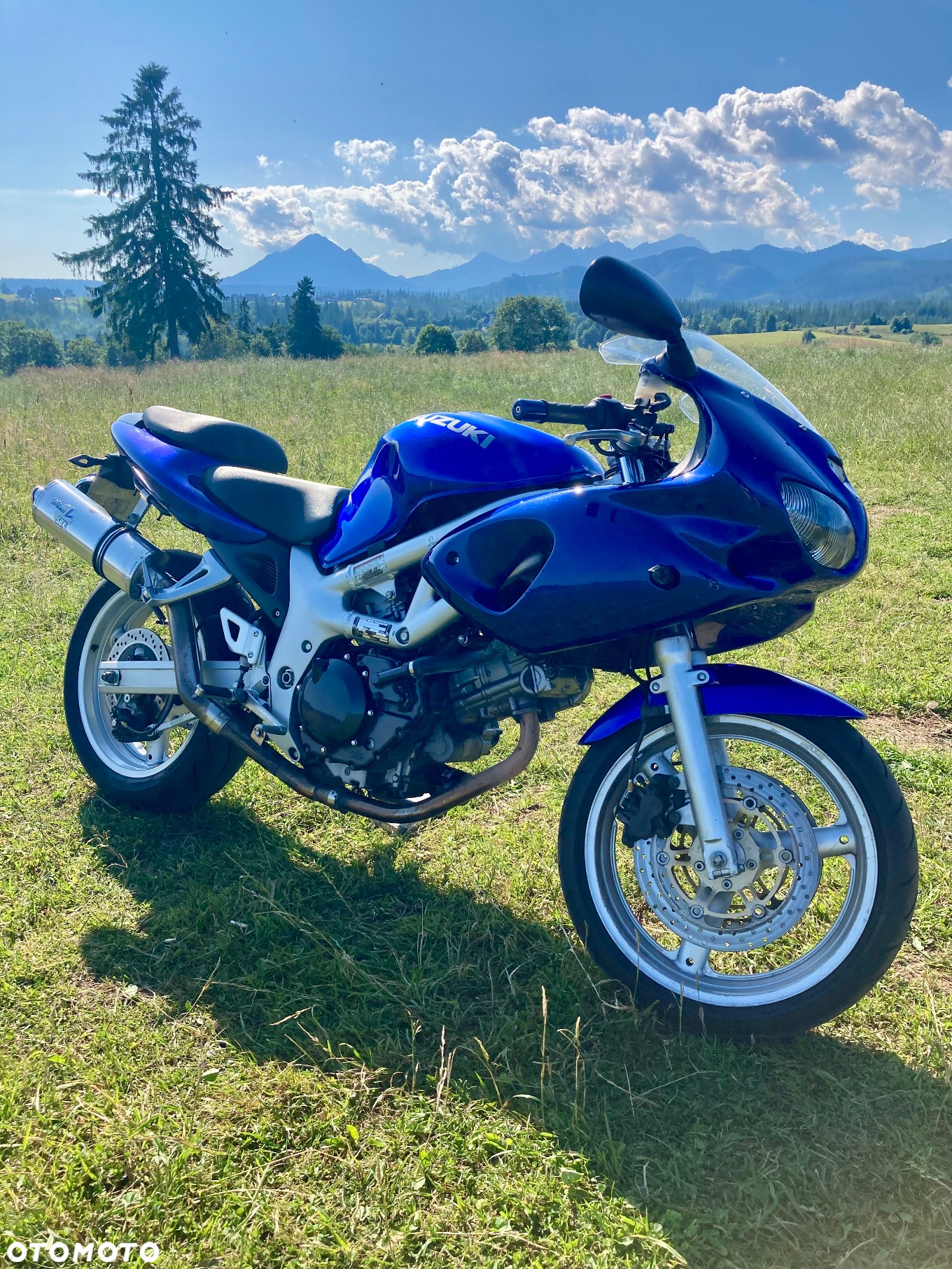 Suzuki SV - 4