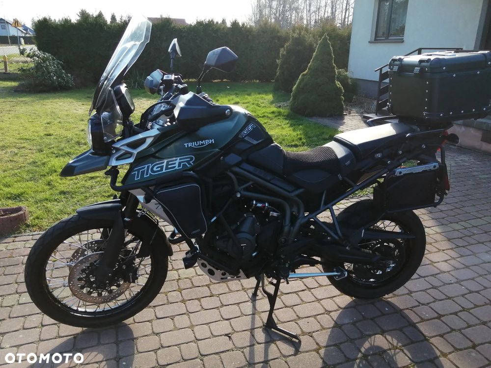 Triumph Tiger - 11