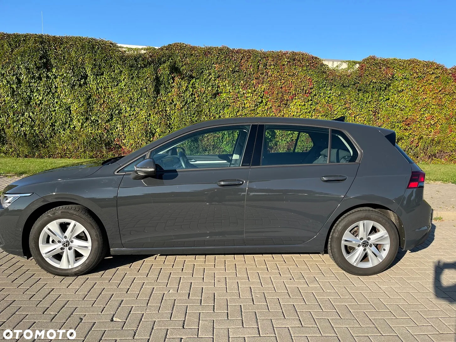 Volkswagen Golf - 2