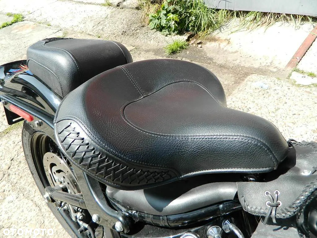 Harley-Davidson Softail Cross Bones - 12