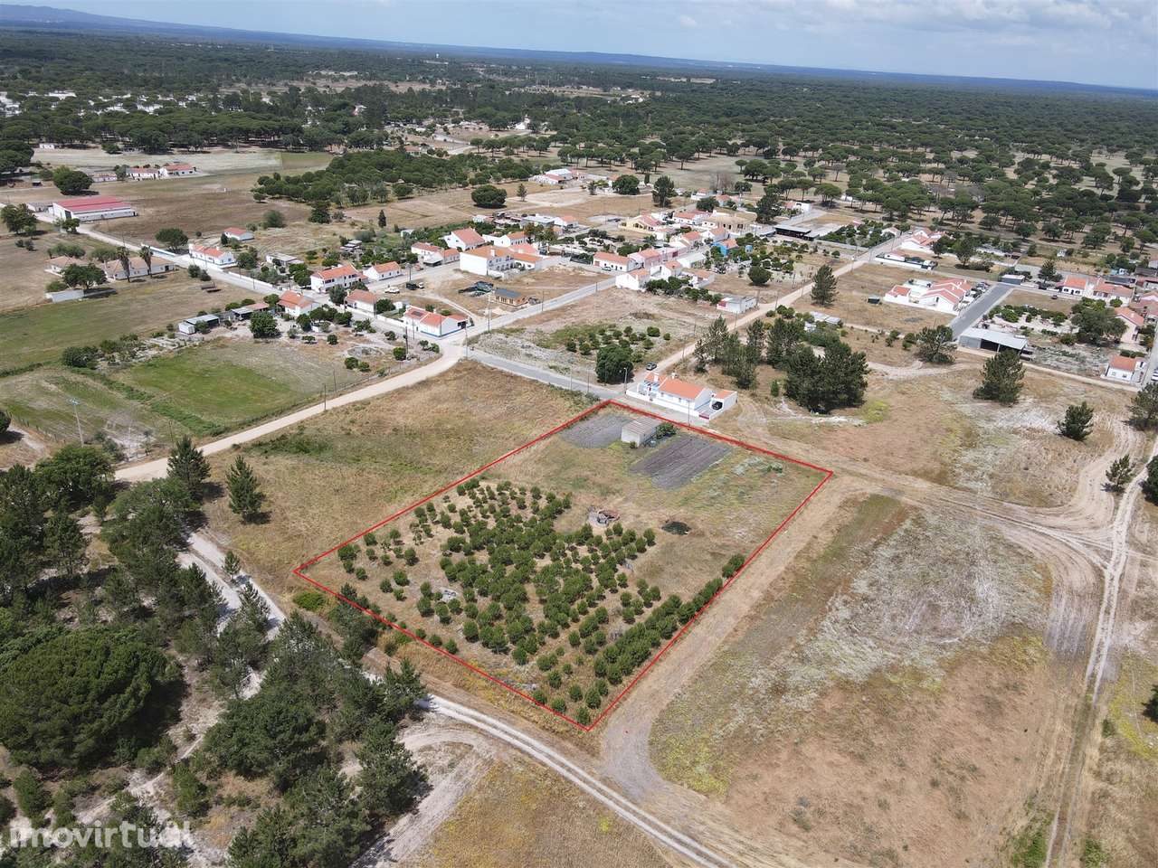Terreno misto no Alentejo - Grande imagem: 3/20