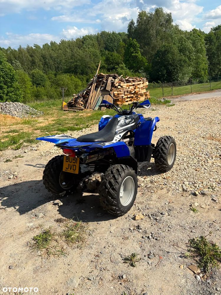 Yamaha Wolverine - 8