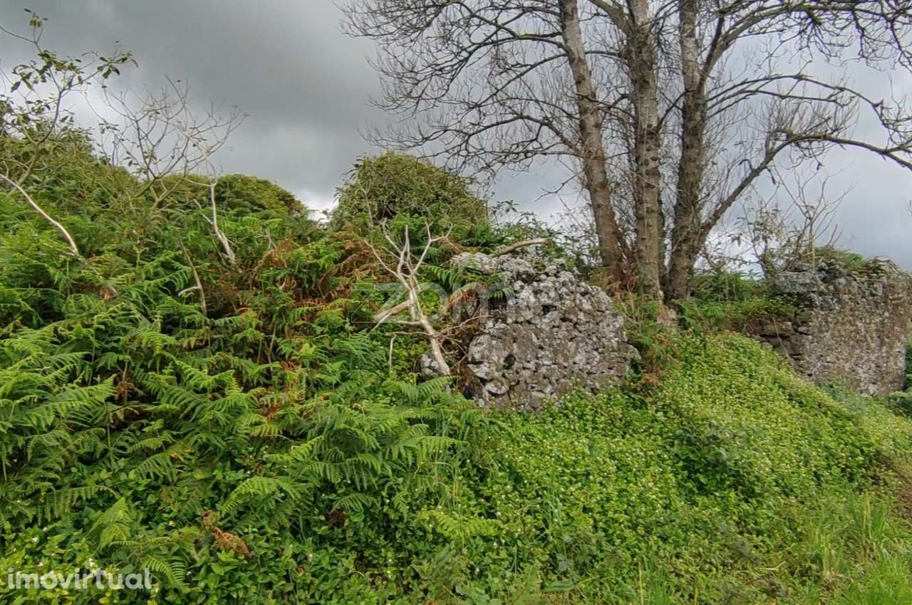 Terreno agrícola - Grande imagem: 2/9