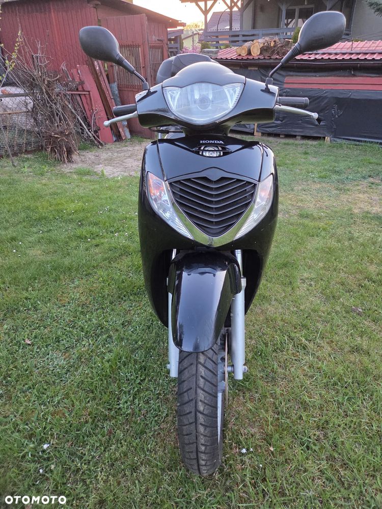 Honda SH - 3