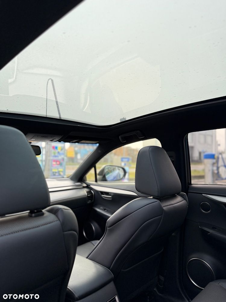 Lexus NX 300h F Sport AWD - 15