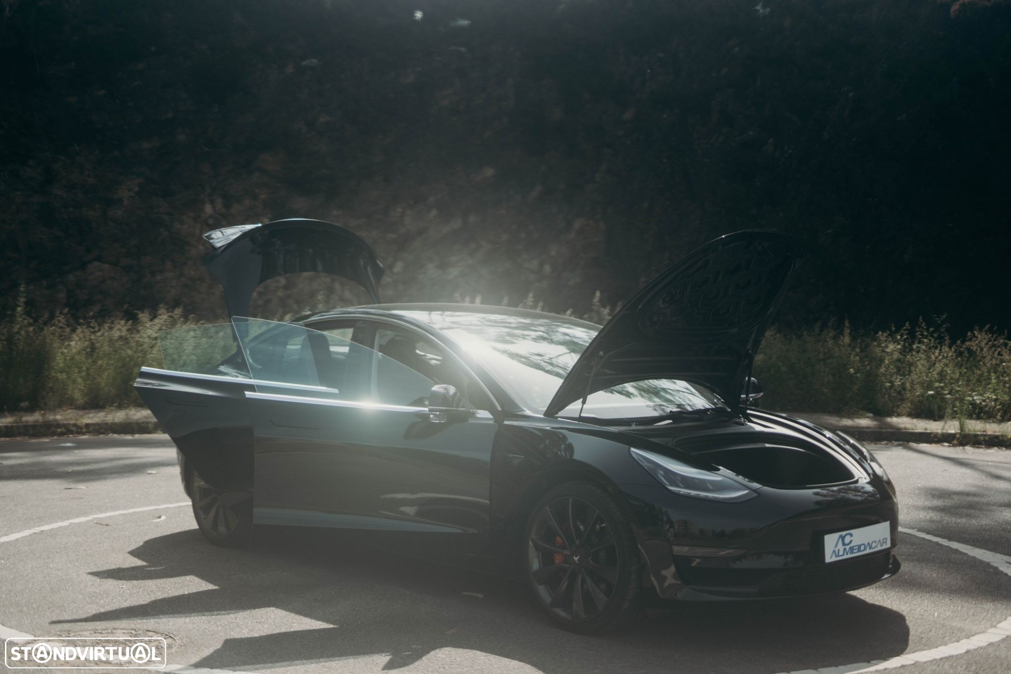 Tesla Model 3 Performance Dual Motor AWD - 24