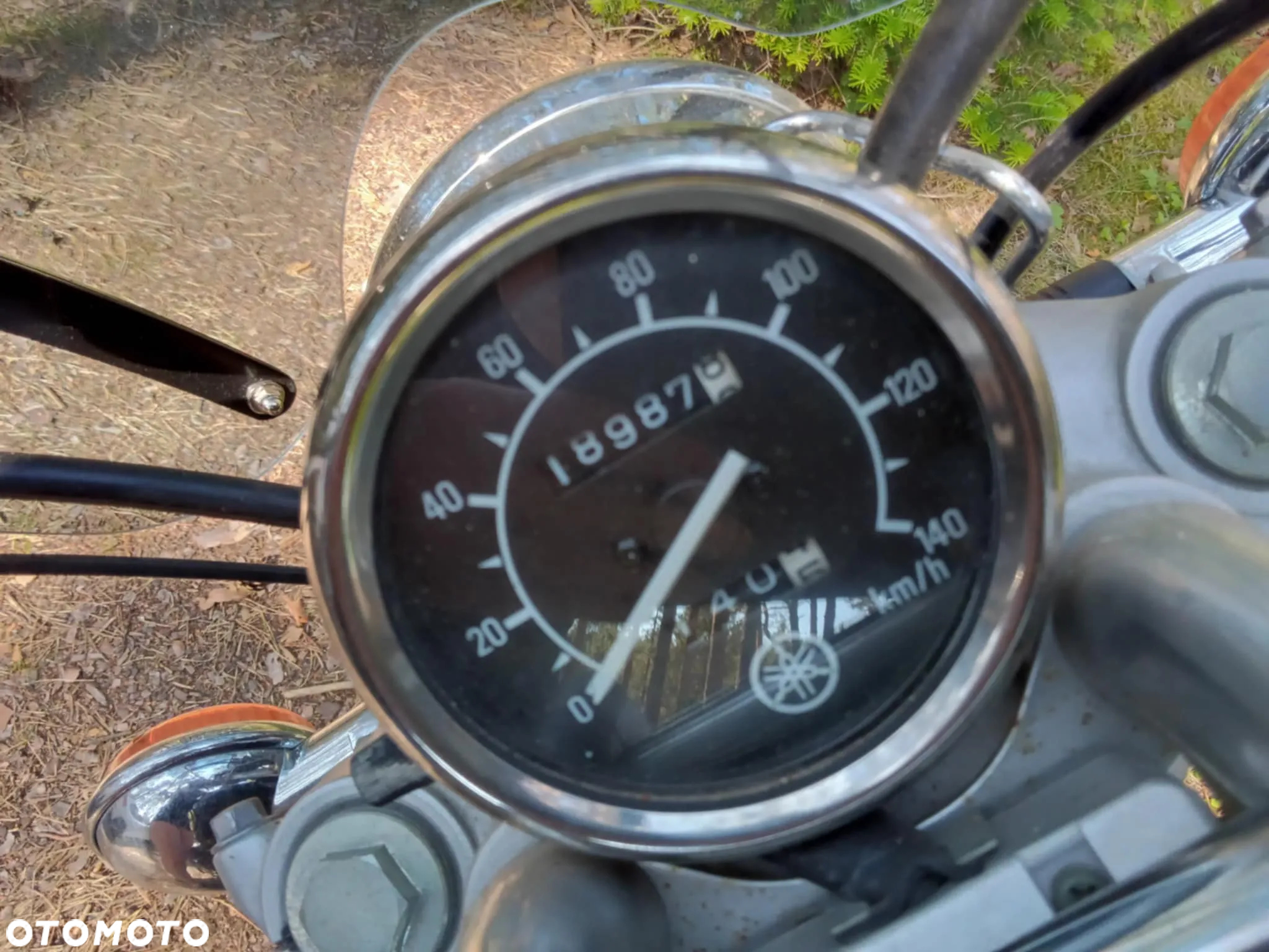 Yamaha Virago - 4