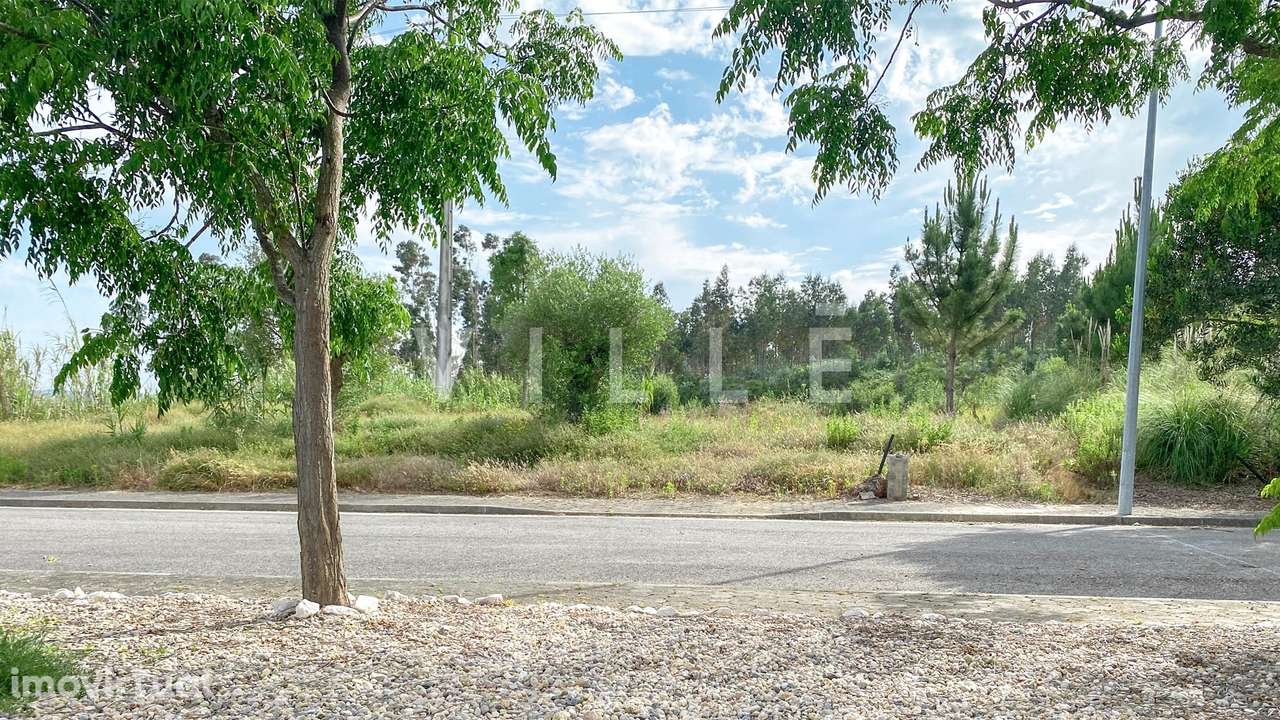 Lote de Terreno - Aveiro - Grande imagem: 4/19
