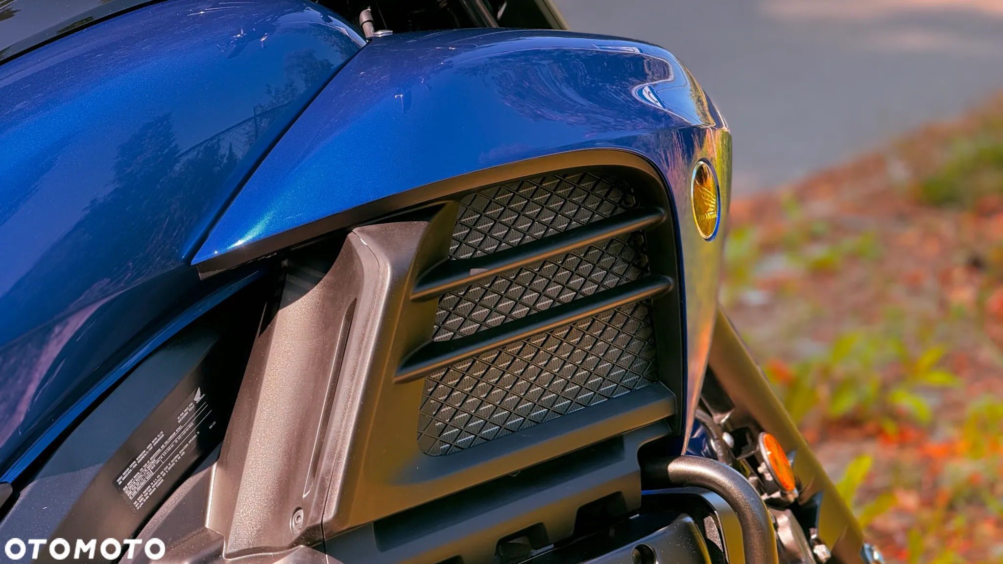 Honda Valkyrie - 14