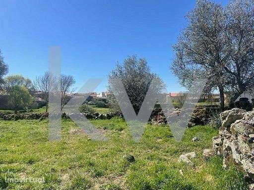 Quinta rural com 3 hectares completa com equipamentos e tractor - Grande imagem: 5/28